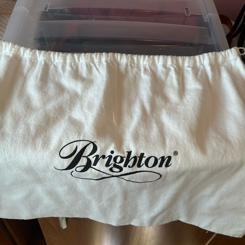 Brighton purse bag